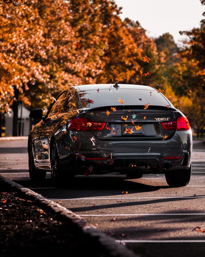 A sleek black car parked on a road with autumn leaves falling around it.